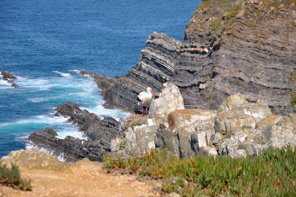 cerro da fontinha costa vicentina portogallo