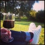 costa vicentina vino