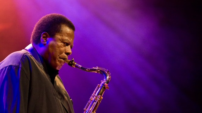 www.wayneshorter.com