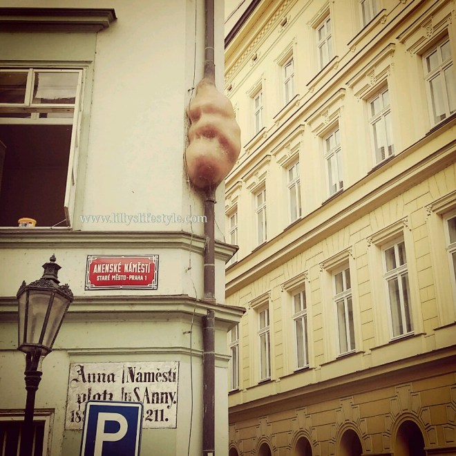 IMG_20150902_135931_wm