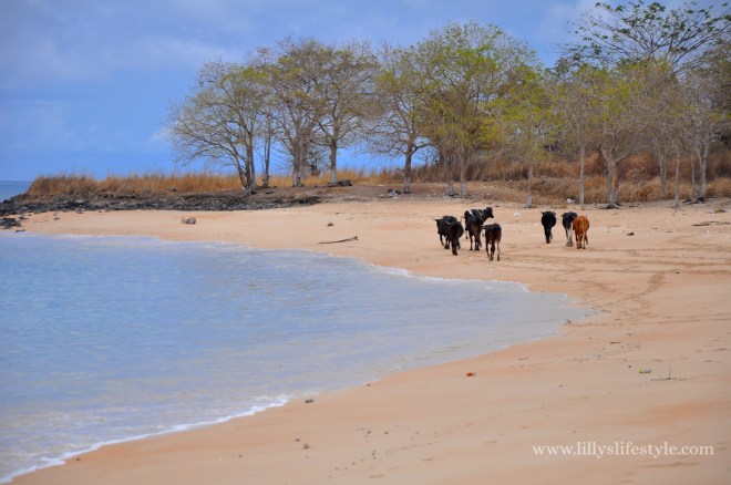 2014-10-25 02.57.56 copia