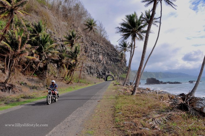 2014-10-25 06.35.51 copia