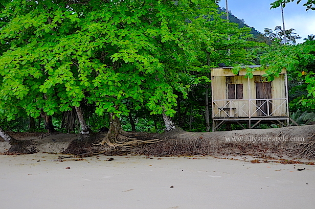 2014-10-28 02.50.44 copia