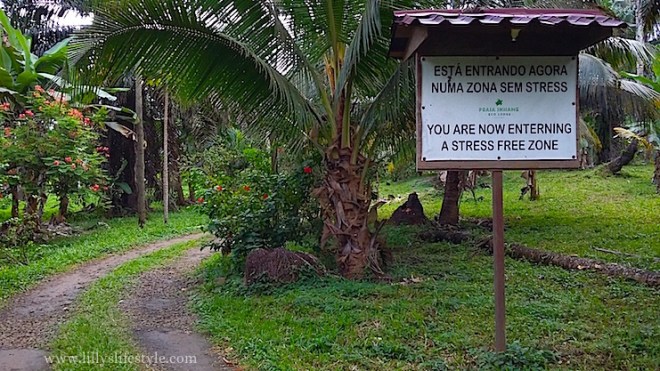 2015-10-17 15.39.34 copia