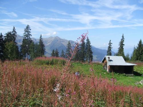 valmorel savoia francia cosa fare savoia cosa visitare francia