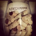 adega mayor vini portogallo