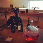 degustazione vini adega mayor