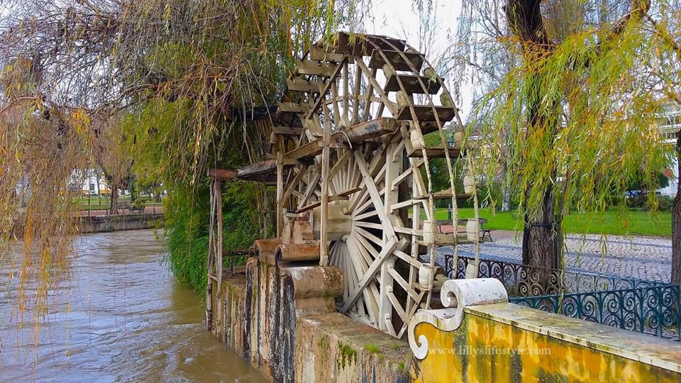 cosa visitare tomar portogallo