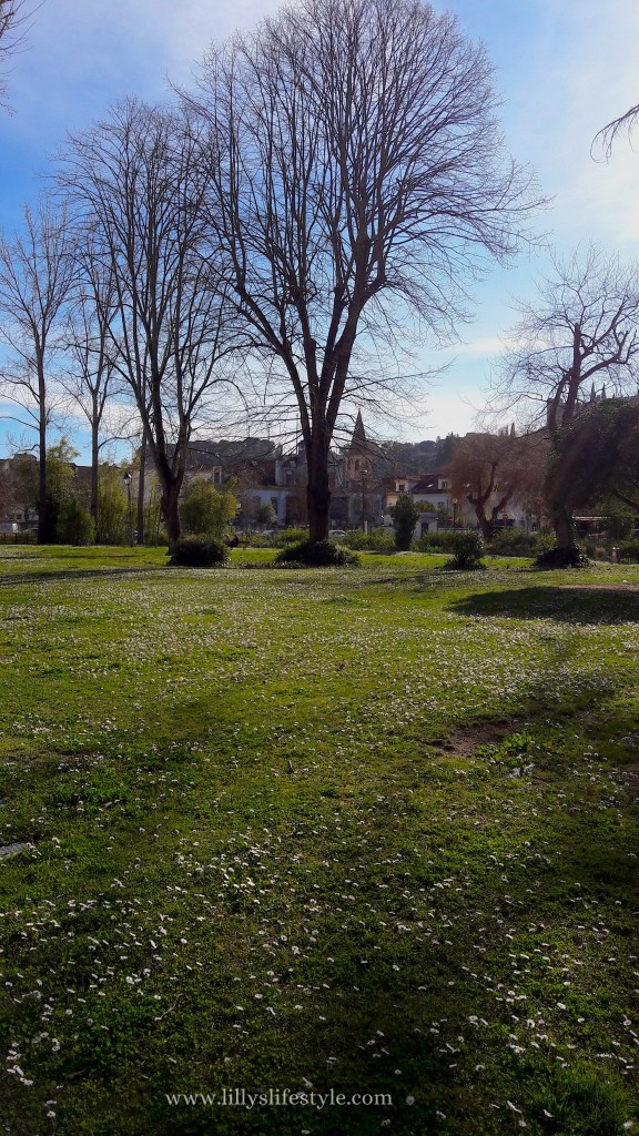 parco centro tomar portogallo
