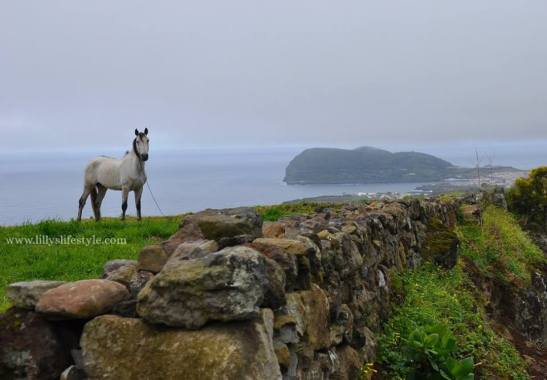 terceira azzorre portogallo