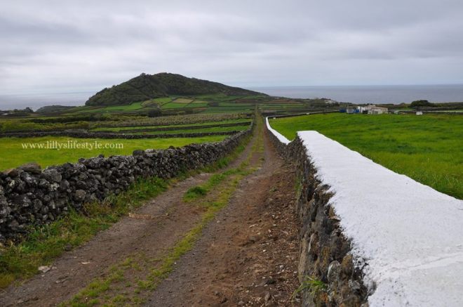 terceira azzorre portogallo