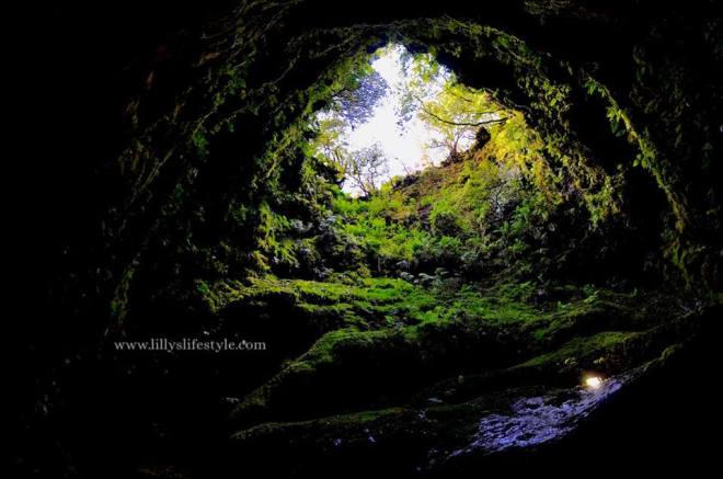 algar-do-carvao-terceira-azzorre-portogallo-3