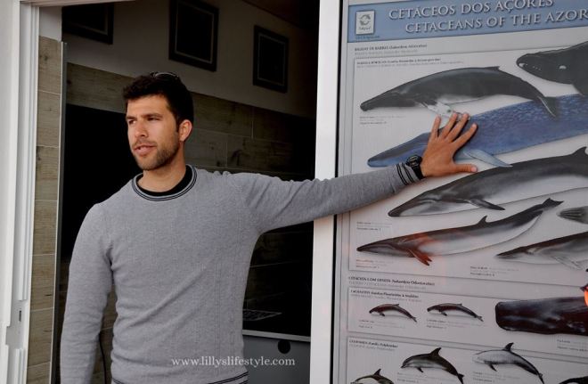 oceanemotion terceira azzorre portogallo