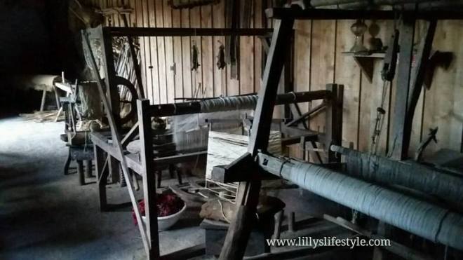 quinta do martelo terceira azzorre portogallo