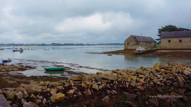 Île de Berder bretagna le maree