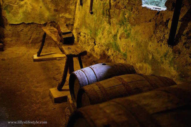 trogloditi cosa sono francia