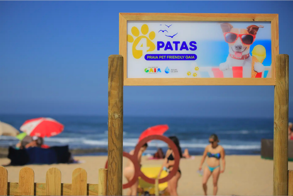 portogallo pet friendly spiagge