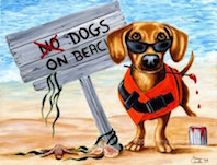 spiaggia per cani portogallo