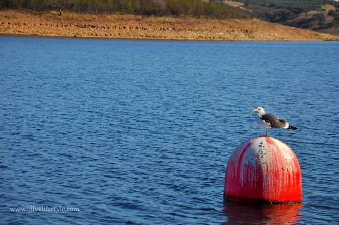 barca lago alqueva portogallo