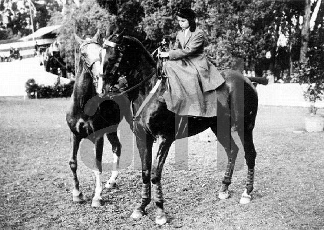 campo equitazione lisbona
