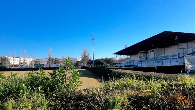 scuola cavalli lisbona