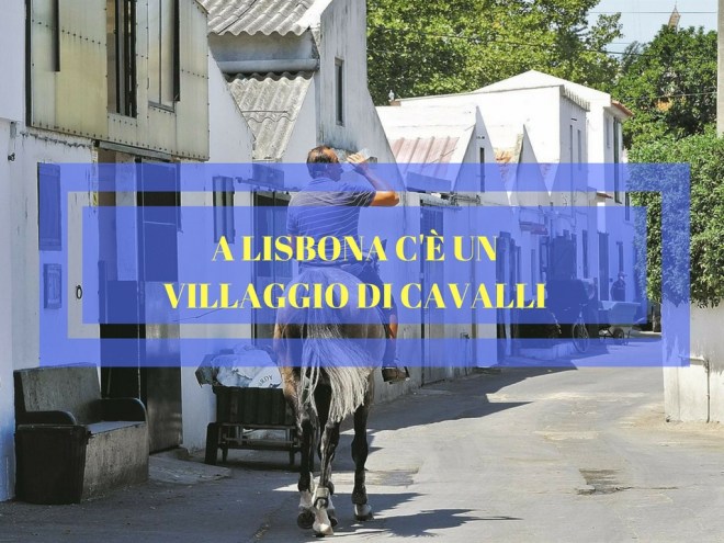 centro equitazione lisbona