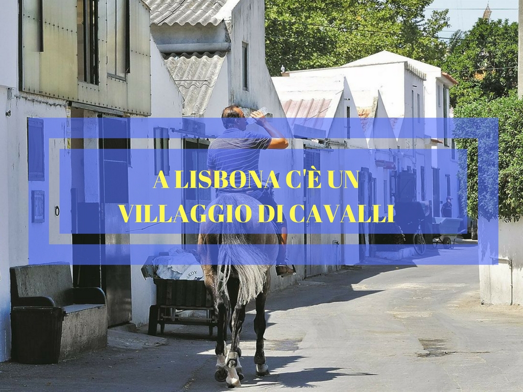 centro equitazione lisbona