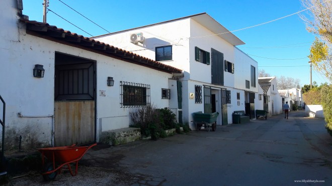 scuola equitazione lisbona