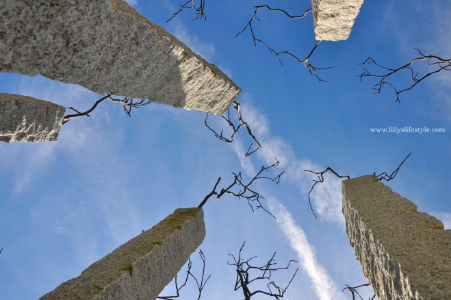 arte contemporanea portogallo