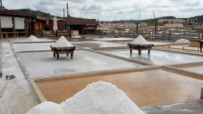 visita salina rio maior portogallo saline portogallo