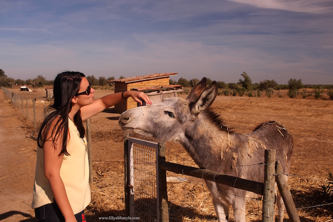 agriturismo alentejo portogallo