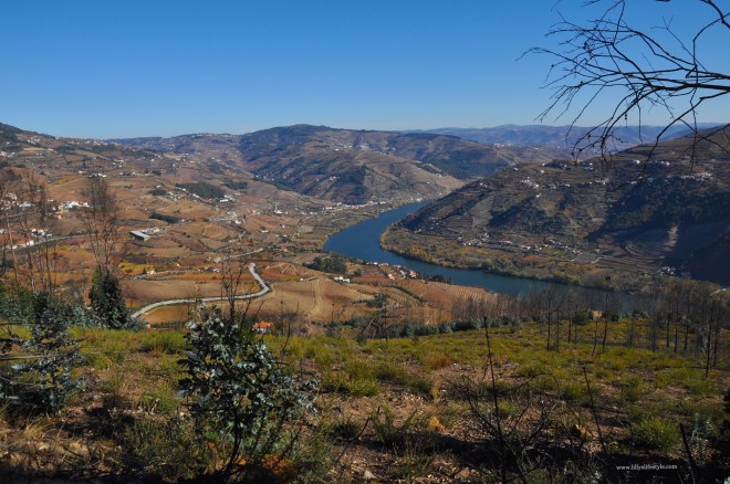 portogallo del nord in auto