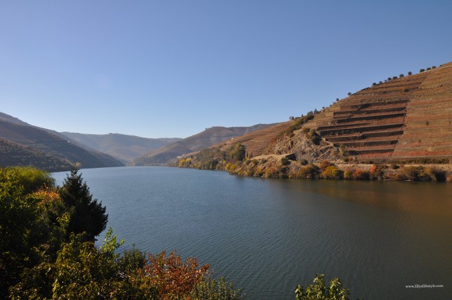 fiume douro vino portogallo