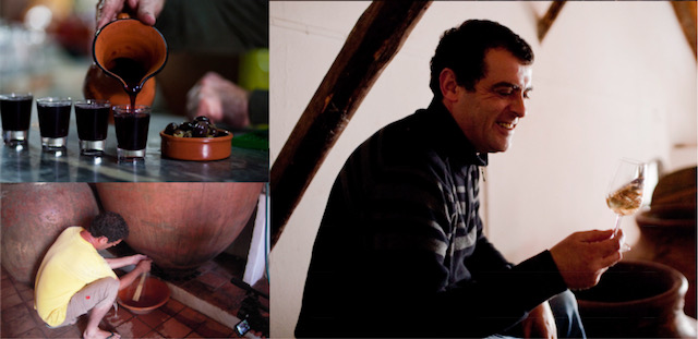 vino talha alentejo portogallo