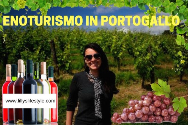 i vini in portogallo portogallo terra di vini