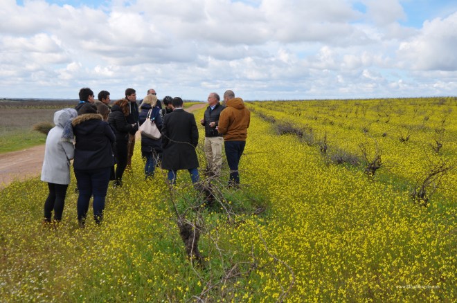 enoturismo portogallo vini talha alentejo