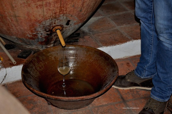 enoturismo alentejo portogallo