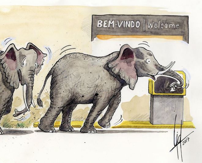 museo bordalo pinheiro esposizione