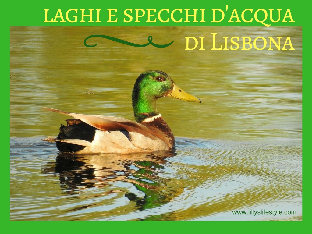 giardini e parchi di lisbona