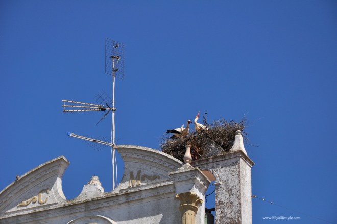 cosa visitare alentejo