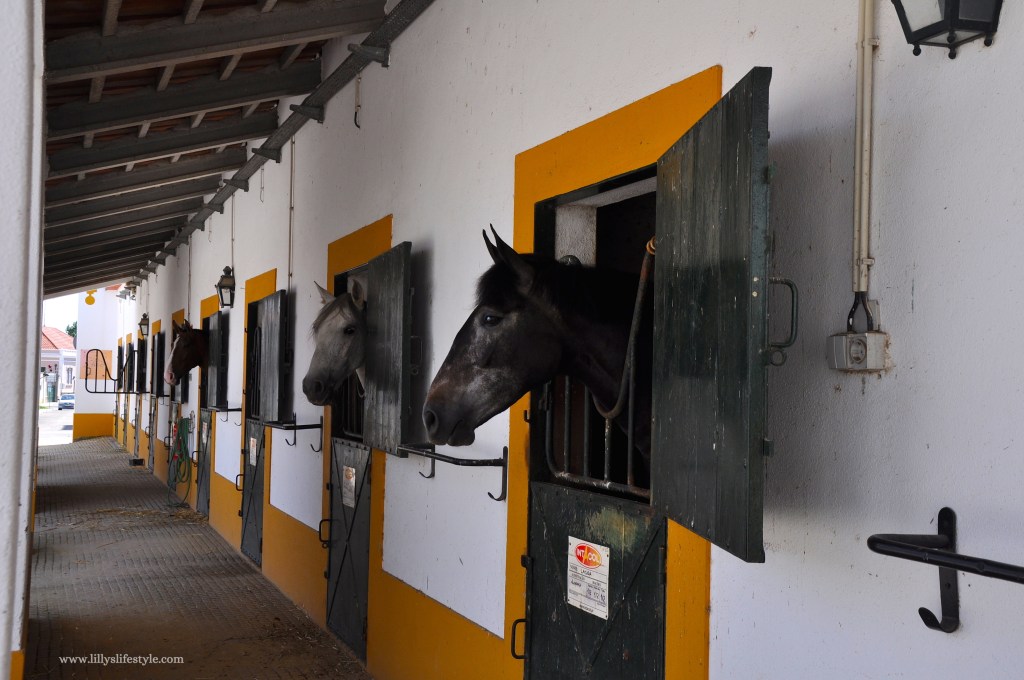 visitare ribatejo portogallo