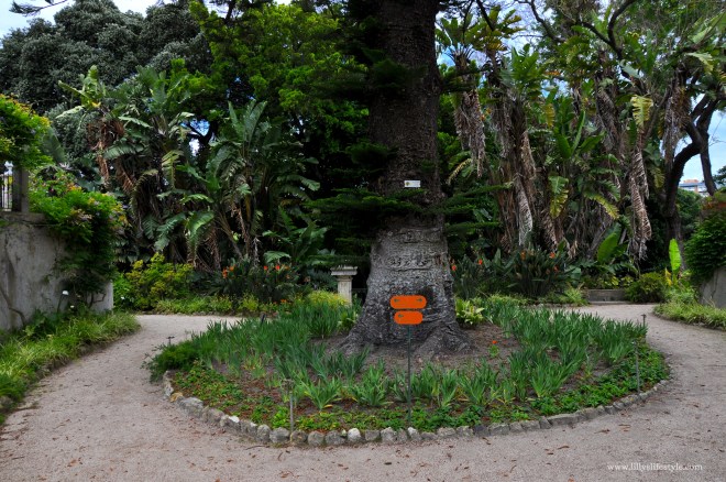 giardini lisbona