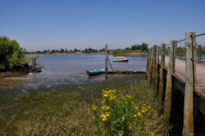 visitare ribatejo portogallo