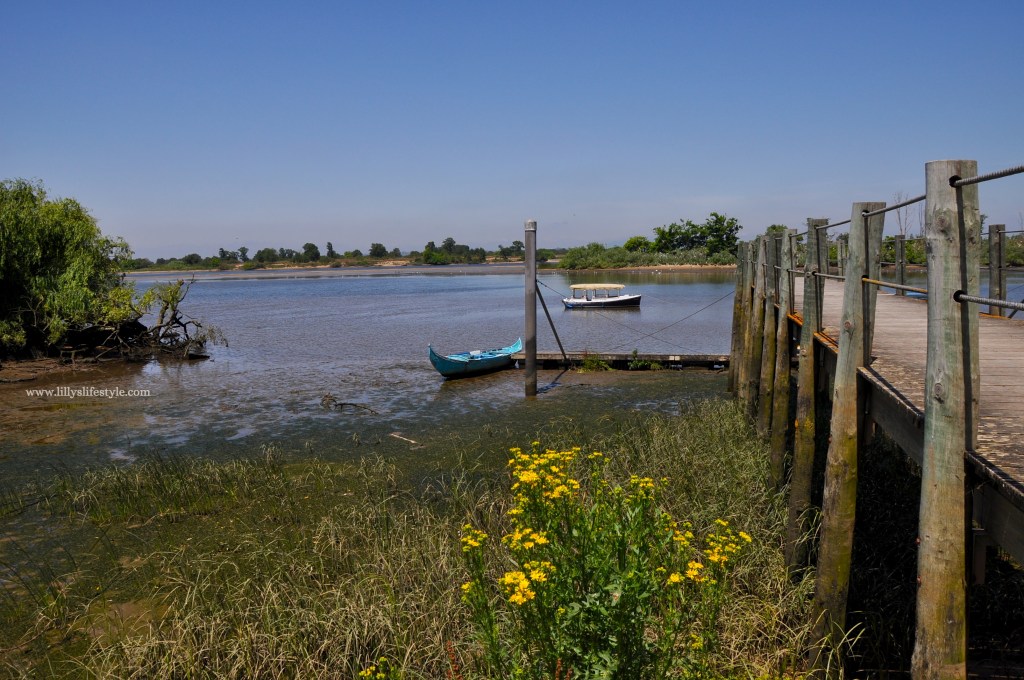 visitare ribatejo portogallo