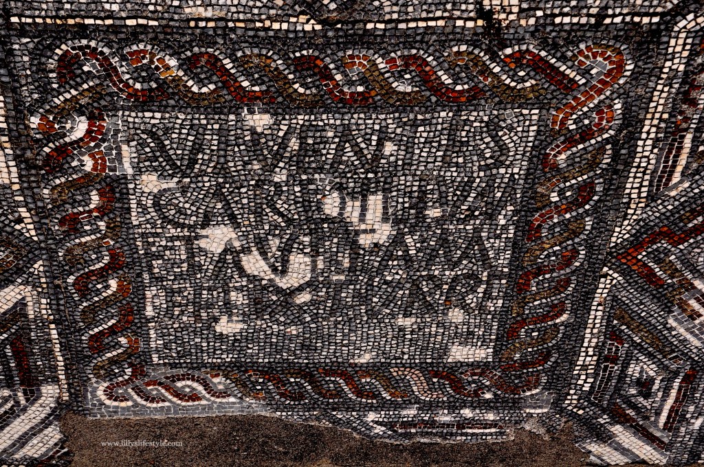 cosa visitare torres novas