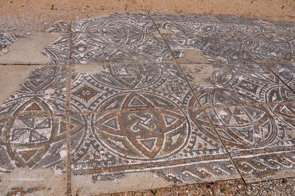 cosa visitare torres novas