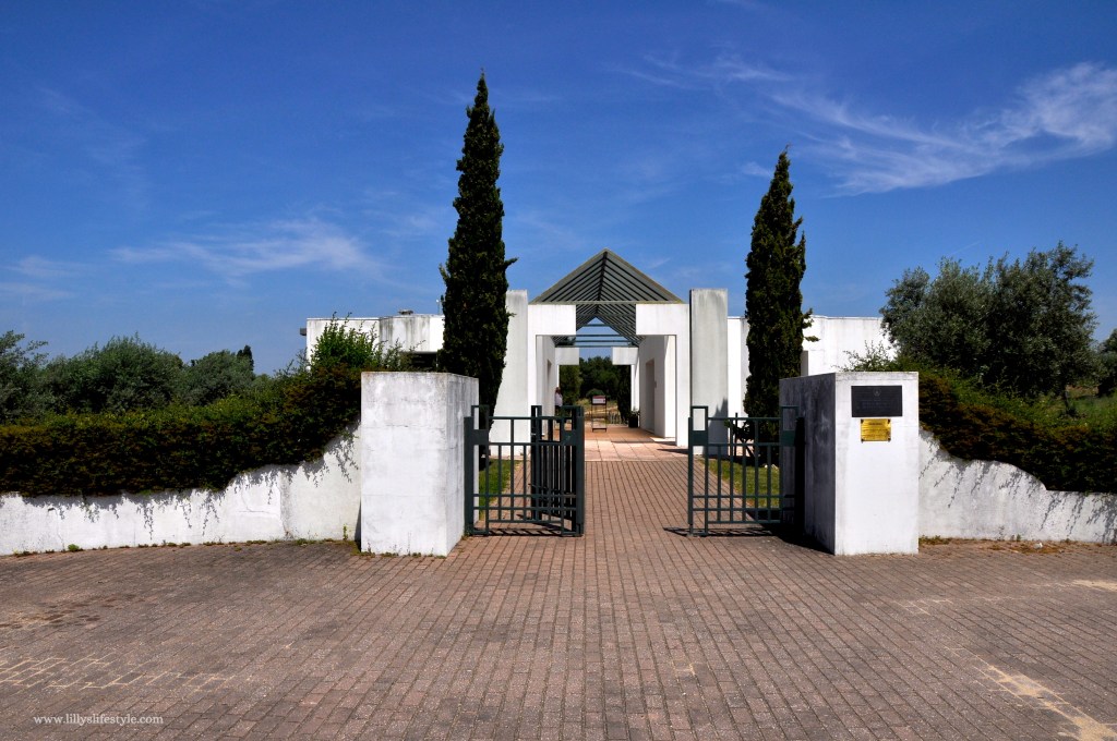 cosa visitare torres novas