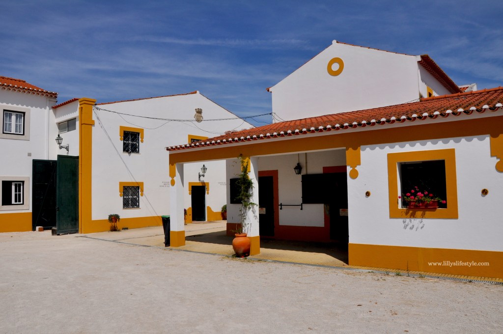 visitare ribatejo portogallo