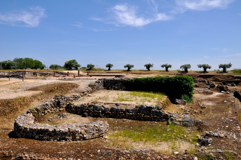 cosa visitare torres novas