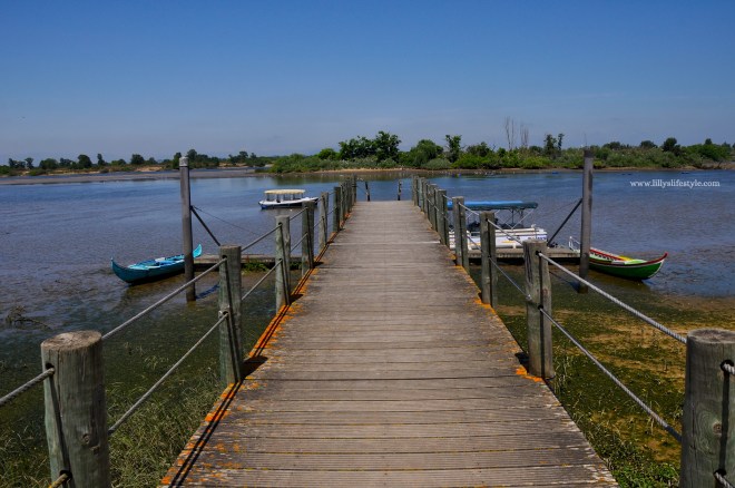 visitare ribatejo portogallo